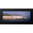 thumbnail image 2 of Becia, Jim 14x8 Black Modern Framed Museum Art Print Titled - Bison Along the Firehole, 2 of 5