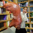 thumbnail image 5 of 110cm Lindos juguetes de peluche de carne de comida para niños, pata de pollo, pescado, camarón, salchicha, muñeca de tela, decoración de cama, almohada para dormir, regalo de cumpleaños, 5 of 5