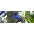thumbnail image 3 of CafePress - Bluebird & Dogwood Mug - 11 oz Ceramic Mug - Novelty Coffee Tea Cup, 3 of 6