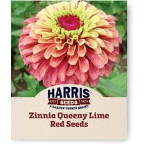 Harris Seeds - Zinnia Seeds Queeny Lime Red Flowers - Non-GMO - 250 Seeds