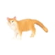 thumbnail image 5 of Juguetes de simulación BLESIY modelo de animales realistas de gato pequeño Amarillo, 5 of 8