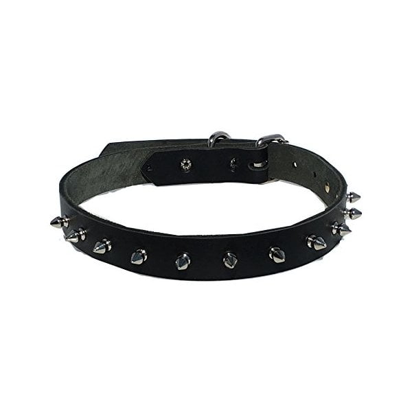 Dangerous Threads Dog Collar with 1/2