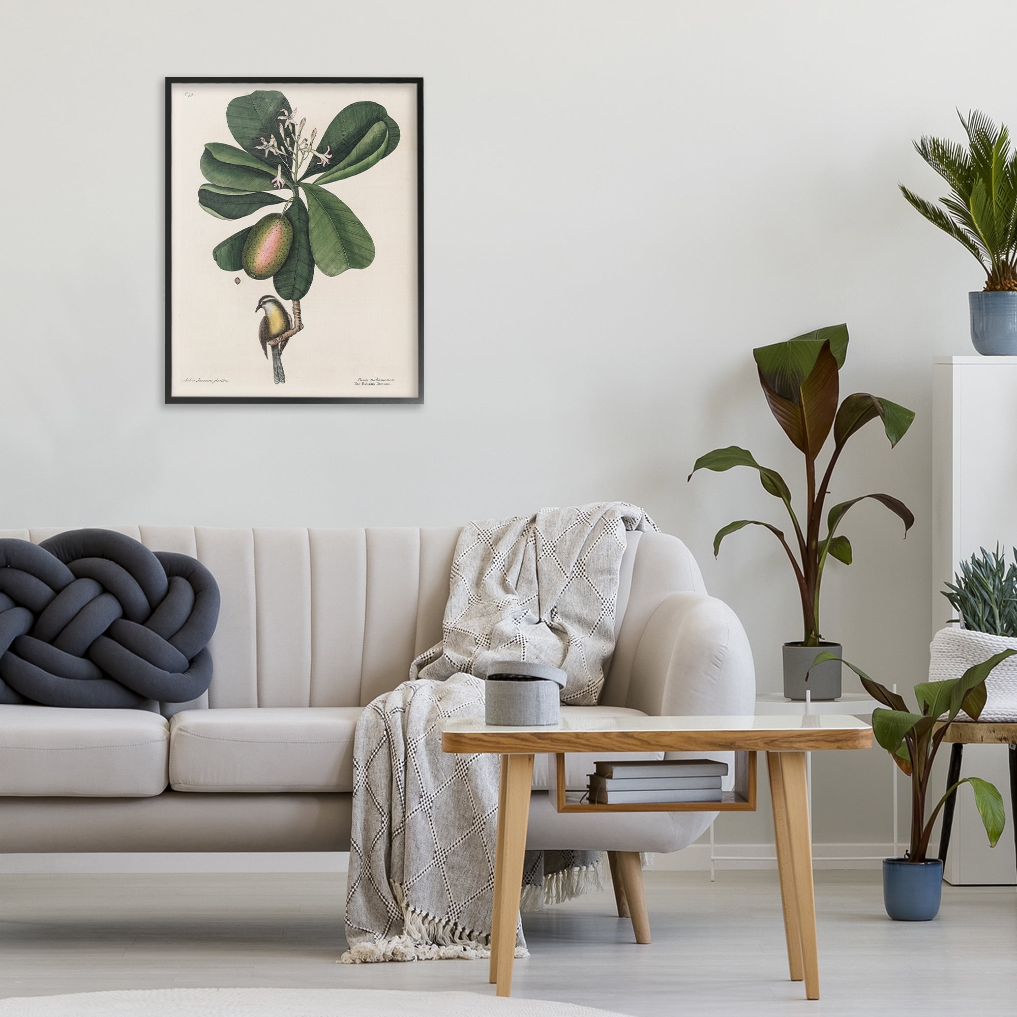 Stupell Industries Catesby Flora & Fauna Black Framed Giclee Art, design by Print Collection