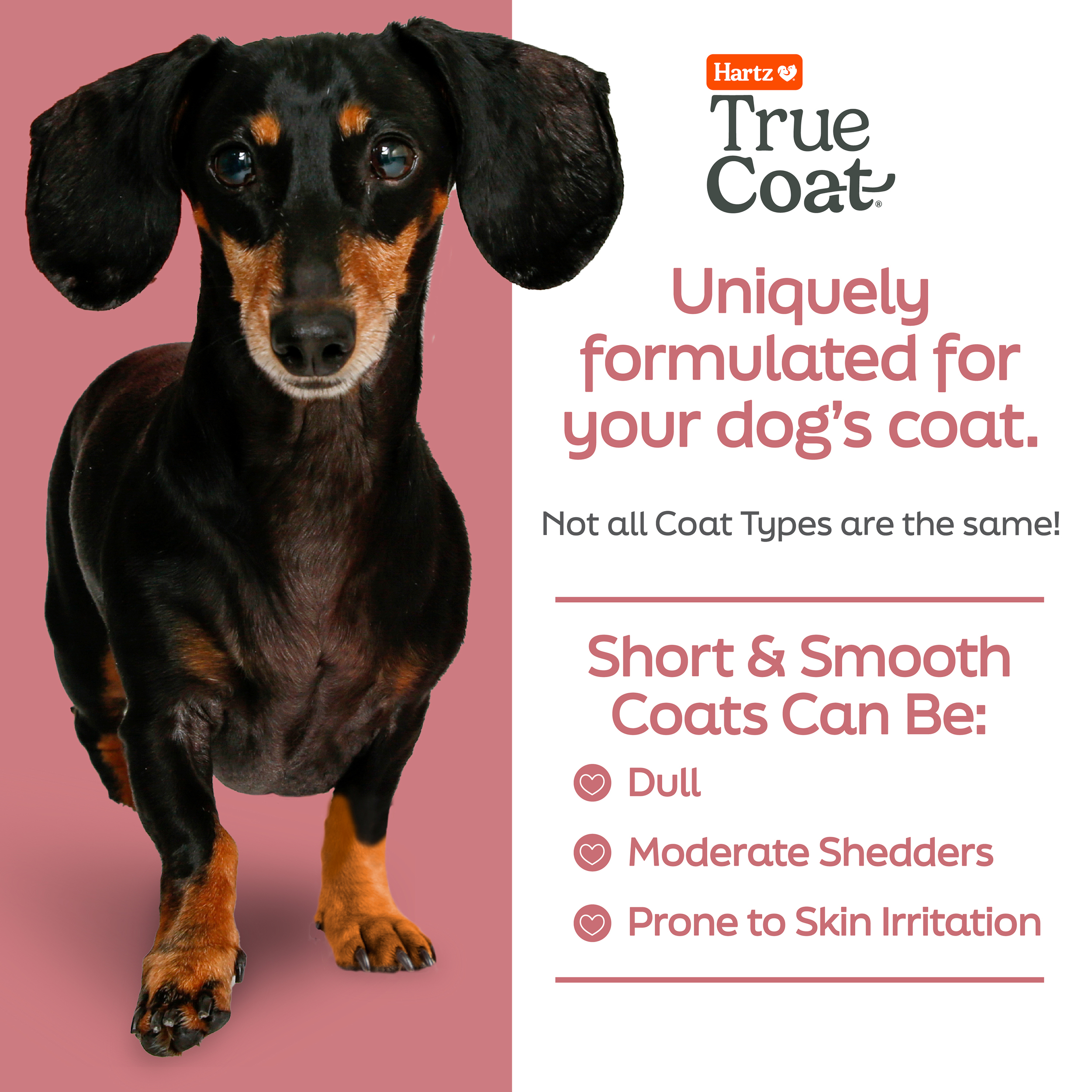 TrueCoat Short & Smooth Coat Dog Shampoo 16oz photo 4