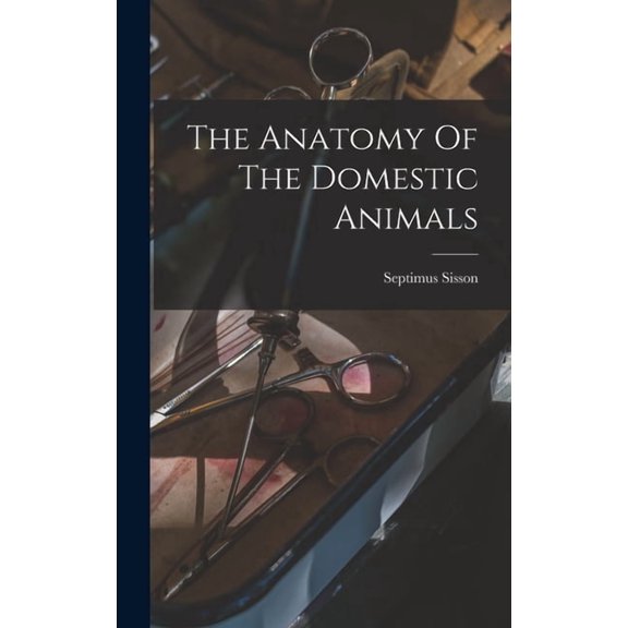 The Anatomy Of The Domestic Animals, (Hardcover)