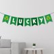 thumbnail image 3 of decoración irndés s de 1 juego Colcomx Decoraciones del día irlandés, 3 of 8