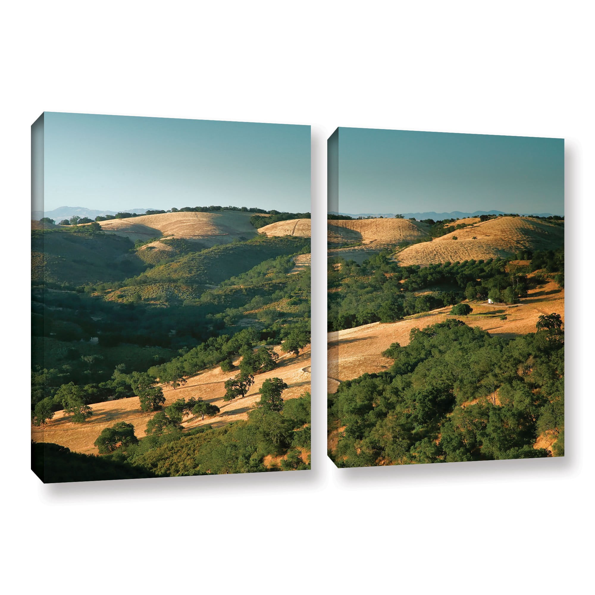 ArtWall Steve Ainsworth "Hills of California" 2-Piece Gallery-Wrapped Canvas Set