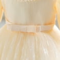 thumbnail image 5 of IROINNID Toddler Girl Birthday Party Dress Tutu Sleeveless Mesh Toddler Girl Dress 6T, 5 of 6