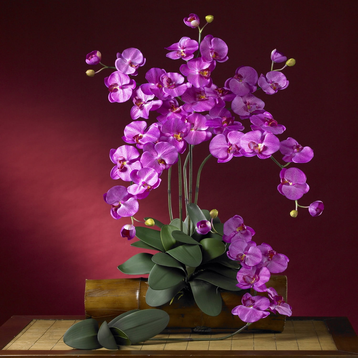 Phalaenopsis Silk Orchid Flower w/Leaves (6 Stems) - Walmart.com