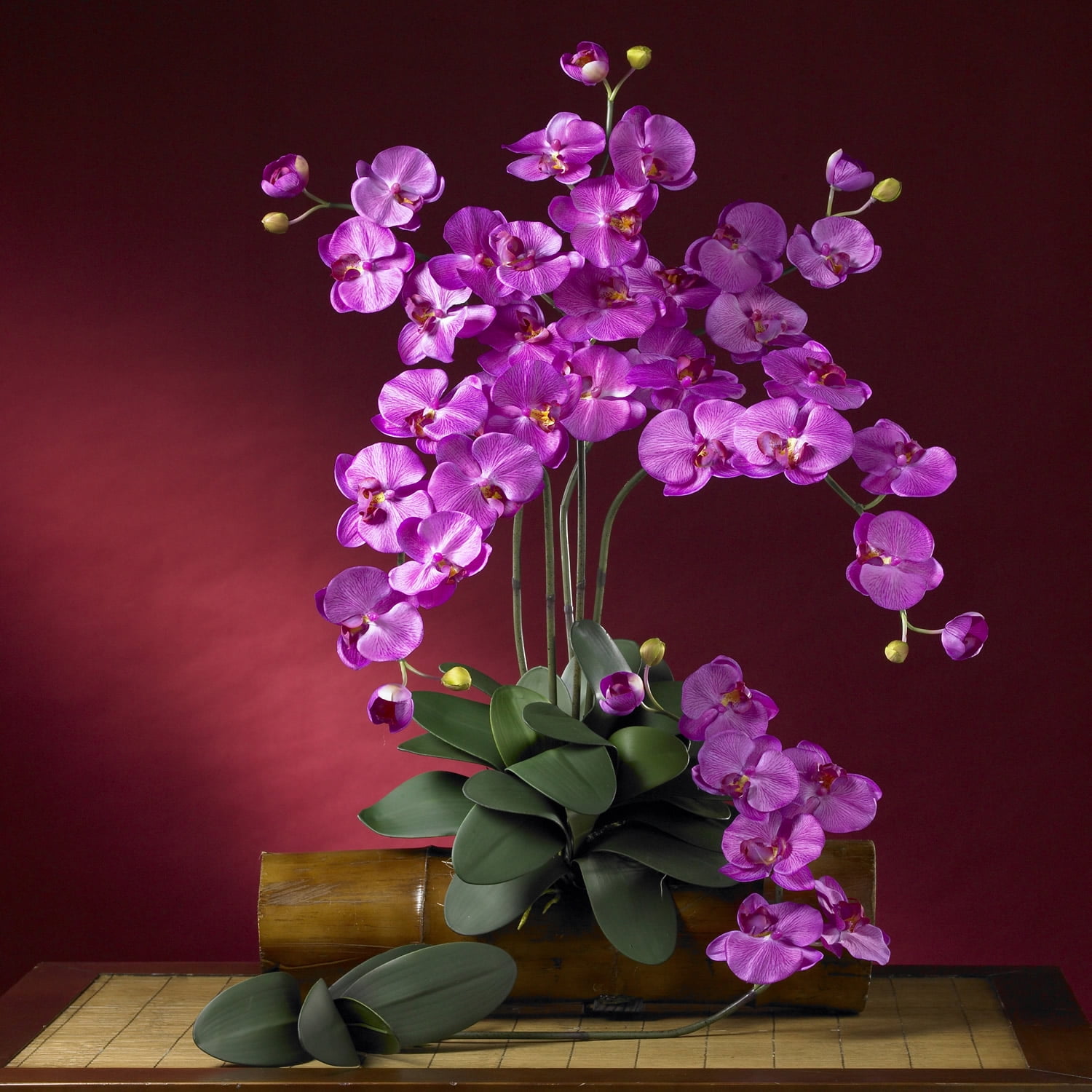 Phalaenopsis Silk Orchid Flower w/Leaves (6 Stems)