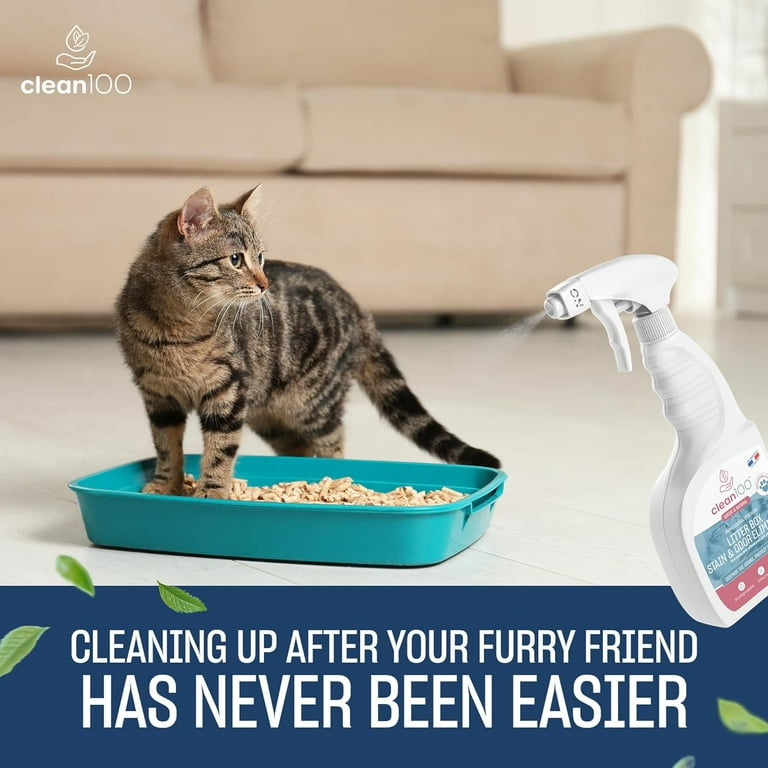Cleaning up cat spray hotsell