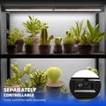 thumbnail image 3 of Barrina T5 Grow Lights for Indoor Plants, 1ft Full Spectrum Grow Light, Linkable, Plug and Play, Two Connection Types, Black Cover LED Grow Light Bulbs, 1 Pack, 5000K, 3 of 9