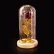 thumbnail image 1 of Cubierta de vidrio Lámpara de decoración de bricolaje rosa interna Romántica LED Pequeña l Carevas Lámpara de mesa, 1 of 1