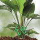 thumbnail image 4 of Soporte de PlásStico para recolecció de Tallos, Juego de 4 Soportes para Tallo de Plantas Trepadoras, Clips de Soporte de Vid reutilizables, 4 of 7