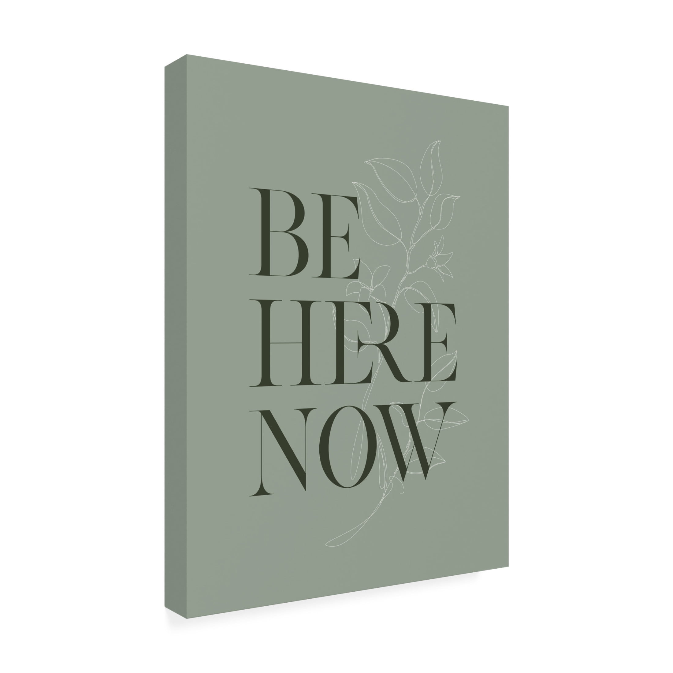 Trademark Fine Art Beth Cai  Be Here Now No1 Canvas Wall Art