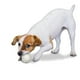 thumbnail image 4 of Pelota masticable para perro diseño Baseball, 4 of 12