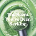 thumbnail image 2 of Yankee Candle Green Apple Sorbet Studio Home Decor Scented Candles, 10 oz, 2 of 7