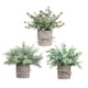 thumbnail image 5 of Wosthever 3 unids/set plantas verdes simuladas para decoración de escritorio añaden vitalidad al conjunto de bonsái artificiales del espacio TZ070Pulsador cilíndrico 2Conjunto, 5 of 6