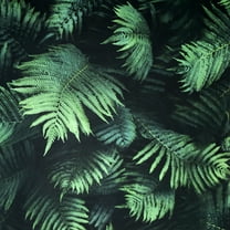 Fern Leaf Wall Green Wallpaper - 20.8 in. W x 33ft L - Double Roll