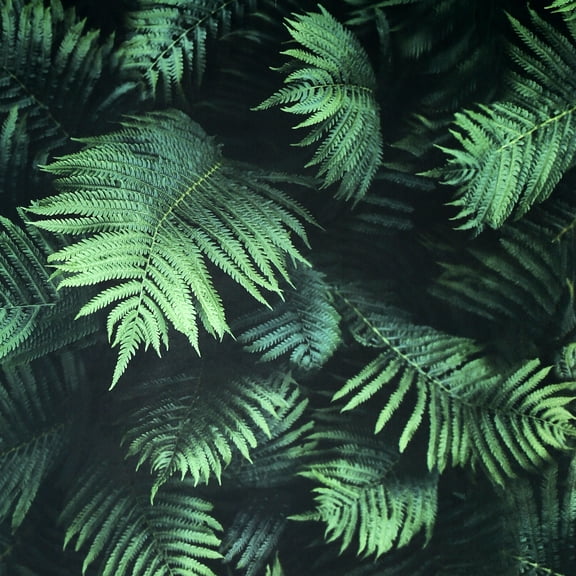 Fern Leaf Wall Green Wallpaper - 20.8 in. W x 33ft L - Double Roll