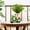 Green, variant on Cute motorcycle cartoon potted plant, fun image flowerpot with sunglasses, suitable for succulent plants, herbs, and small potted plants, creative indoor and outdoor decoration