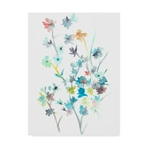 Trademark Fine Art 'Spring Soiree I' Canvas Art by Chariklia Zarris