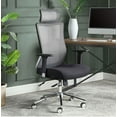 WELLNESS BY DESIGN 51771EC Ergonomic Mesh Back Office Chair with