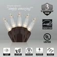 thumbnail image 3 of Wintergreen Lighting T5 LED Mini Lights Brown Wire Christmas Lights, Brown Wired Clear Mini Lights, LED Christmas Lights, 50 Lights, 3 of 8