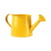 Watering Can Galvanized Iron Shower Bucket Tinplate Watering Kettle Flower Pot 1 L