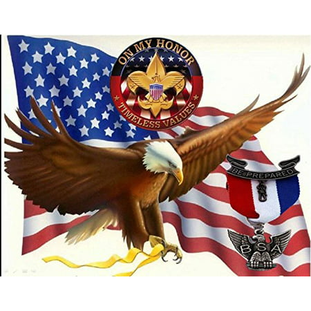 Eagle Boy Scouts Party Birthday Cake Topper Edible Image 1/4 Sheet Frosting, Topper measures 11 x 8