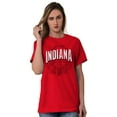 thumbnail image 4 of Indiana IN Student Campus Pride Men's Graphic T Shirt Tees Brisco Brands S, 4 of 6