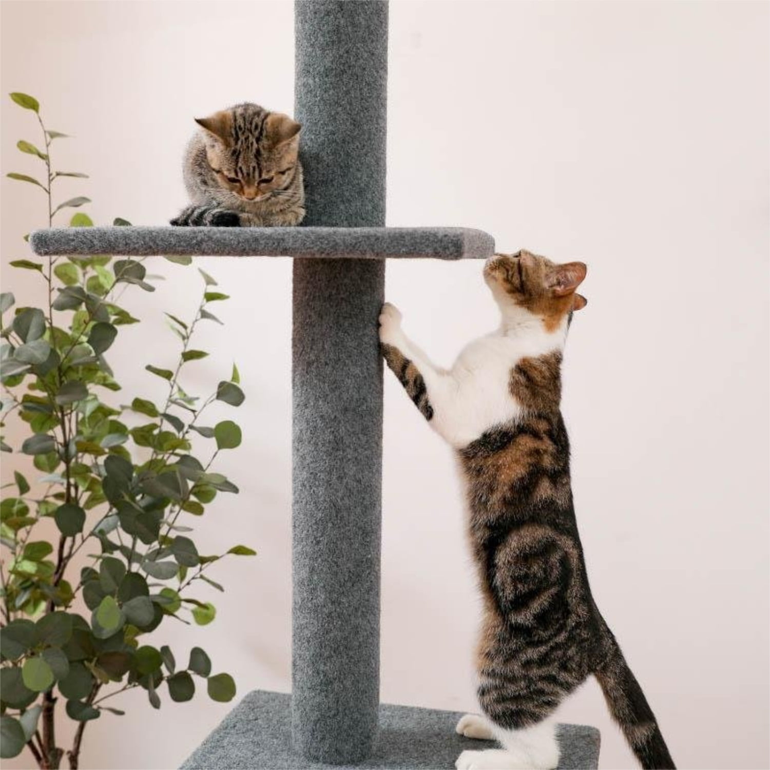 Pefilos Three Tier Cat Tower for Indoor Cats Floor-to-Ceiling Cat Tree Cat Climbing Tree Modern Cat Tree Tower 9 Feet (Adjustable 90"-108" Tall), Gray Pefilos Three Tier Cat Tower for Indoor Cats Floor-to-Ceiling Cat Tree Cat Climbing Tree Modern Cat Tree Tower 9 Feet (Adjustable 90"-108" Tall), Gray