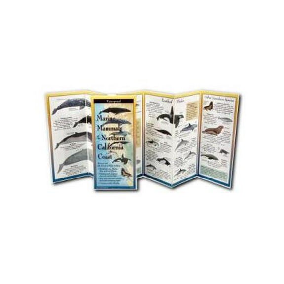 FoldingGuides: Marine Mammals of Northern & Central California (Other)