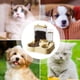 thumbnail image 5 of Dispensador de Comida para Perros Automático Anti-Tip Dispensador de Comida para Gatos Recipiente de Agua Recipiente de Almacenamiento Recipiente de Comida para Perros, 5 of 7