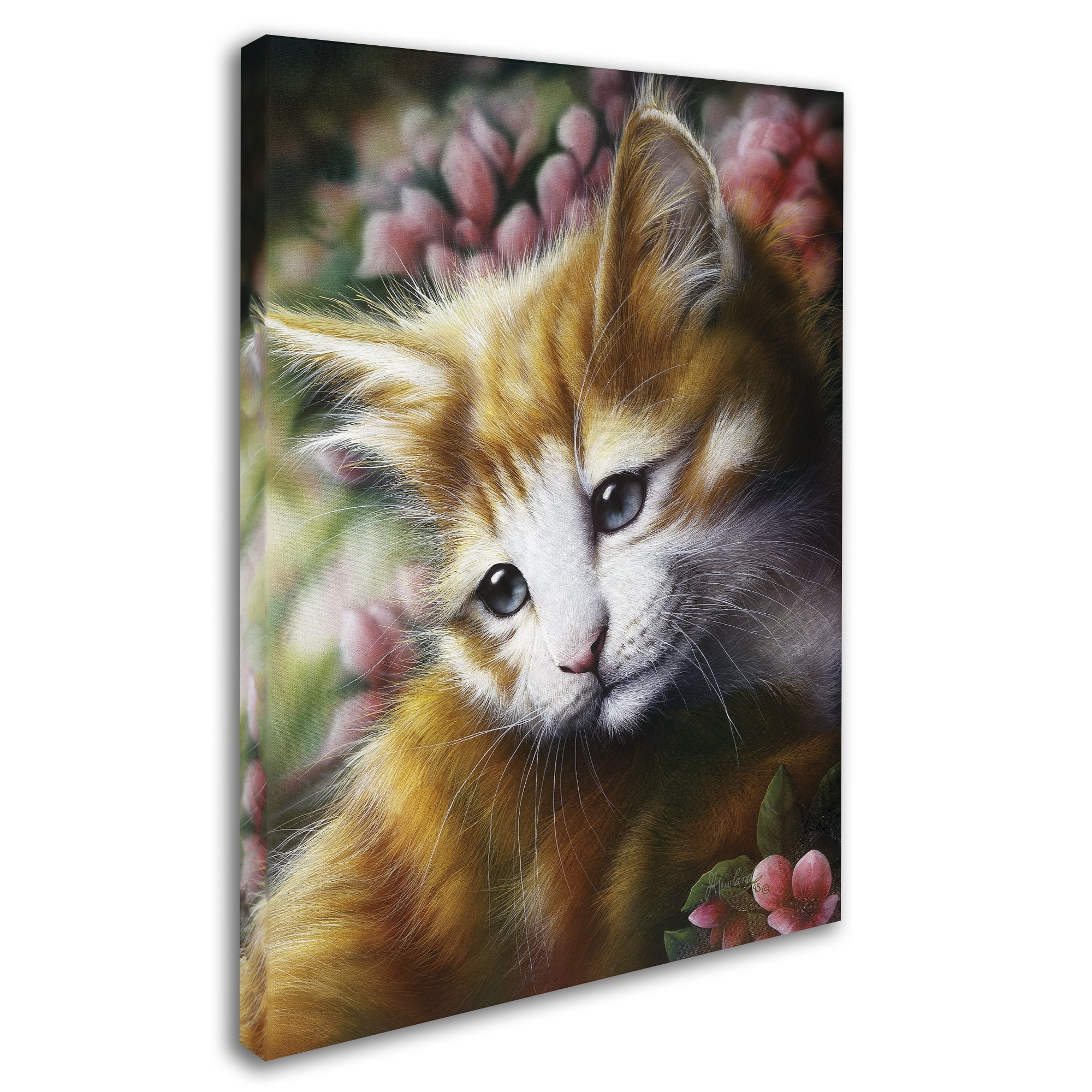 Trademark Fine Art 'Buttercup' Canvas Art by Jenny Newland