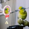 thumbnail image 2 of Hanging Environmentally  Toy, Bird Mirror, Bird Cage For, 2 of 8