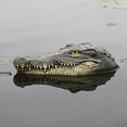 thumbnail image 1 of Floating Head Water - Garden or Pond decor for art for Goose, , , Duck Control, to Choose , style 2, 1 of 8