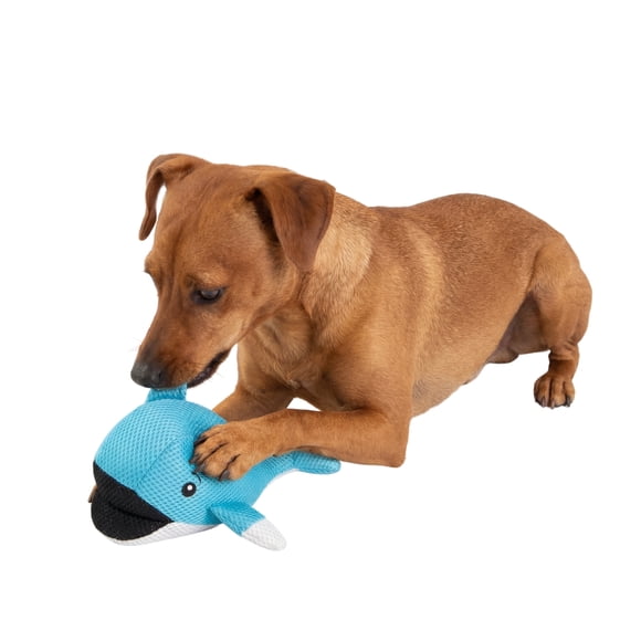 One Paw, Whale Cooling Dog Toy, Floats In Water, Durable