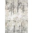 thumbnail image 1 of Dynamic Rugs QU2427053190 2 Pi x 3 Pi Quartz 27053 Rectangle Zone de Transition Tapis - 190 Ivoire & Gris, 1 of 1