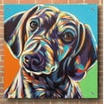 thumbnail image 3 of Epic Art 'Painted Dachshund II' by Carolee Vitaletti, Acrylic Glass Wall Art, 36"x36", 3 of 7