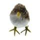 thumbnail image 5 of 2 X de Gorrión de Pájaro con Plumas Artificiales para La Decoración arte Del Jardín para hogar Sharpla Pájaro Gorrión Artificial, 5 of 8