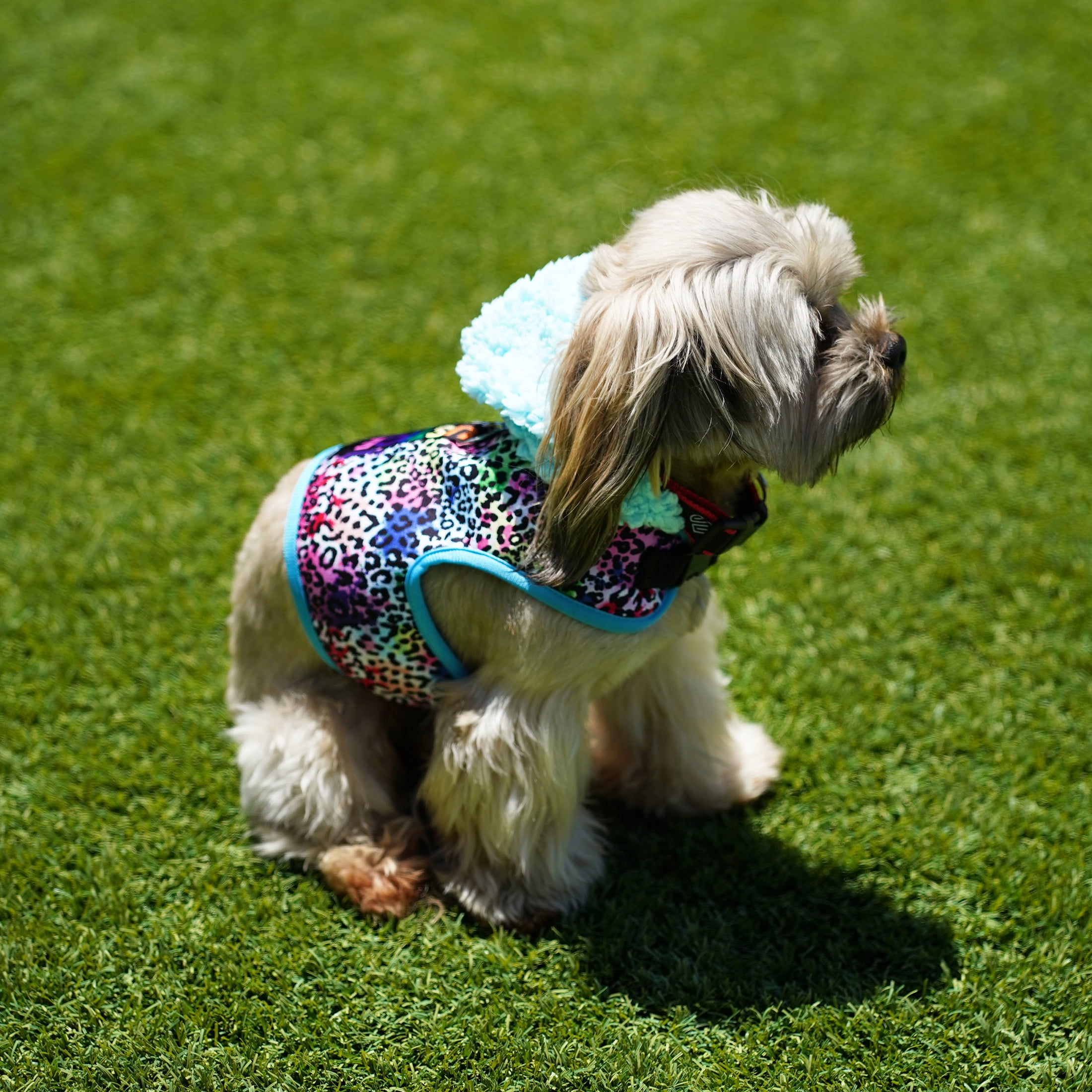 Justice Pet-Pet Harness-Justice Sherpa-Like Hooded Rainbow Leopard Print Harness For Medium Dogs-For Large Cats-For Pets With Chest Girth 20-27 Inches-Size Medium