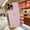 PURPLE, variant on Phone Case Luxury Electroplated Love Heart Phone Case For Iphone 11 12 13 14 15 Pro Max Xs X Xr 7 8 Plus Se 2020 Mini Soft Silicone Cover