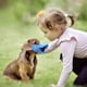 thumbnail image 5 of Anti mordida forma de boca de pato cubre la boca del perro máscaras de bozal anti-llamada juego de boca de mascota a prueba de mordeduras, 5 of 5