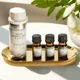 thumbnail image 2 of Difusor de aroma eléctrico Namste de 2 piezas, 100 ml, aceites esenciales, perfume para hoteles Oasis, ambientador para el hogar, difusor de fragancias, 2 of 4