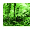 thumbnail image 3 of Milaget Autocollant de Fond d'Aquarium, Forêt Tropicale Tropicale, Autocollant de Réservoir en PVC, Décalque 76x46 cm, 3 of 9
