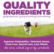 NutriSource Puppy Food for Large Breeds, Chicken and Rice, 26LB