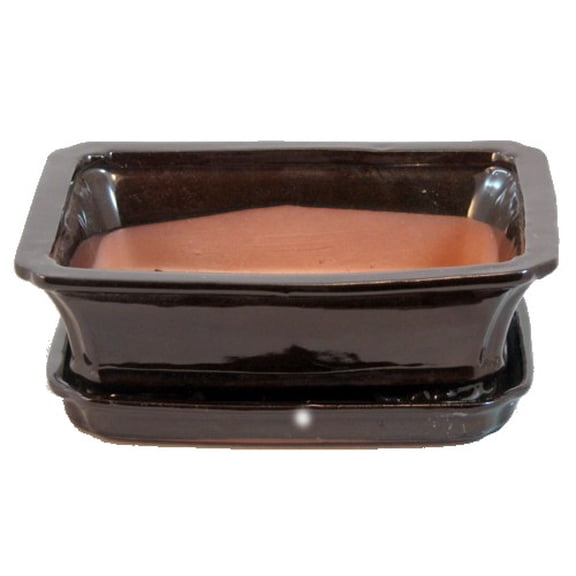 Ceramic Bonsai Pot Saucer - Dark Brown - 8" x 6.25" x 3" Felt Feet