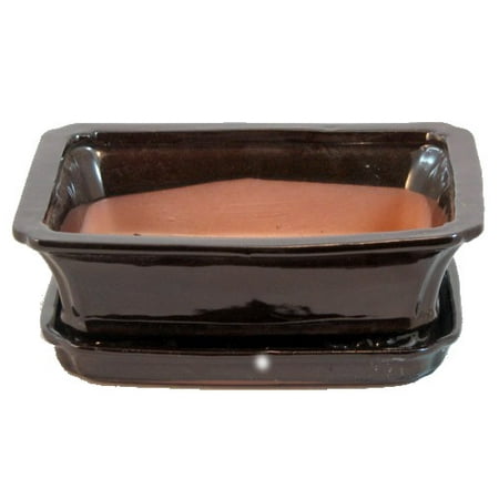 Blue Ceramic Bonsai Pot - Ceramic Bonsai Pot + Attached Saucer - Dark Brown - 8