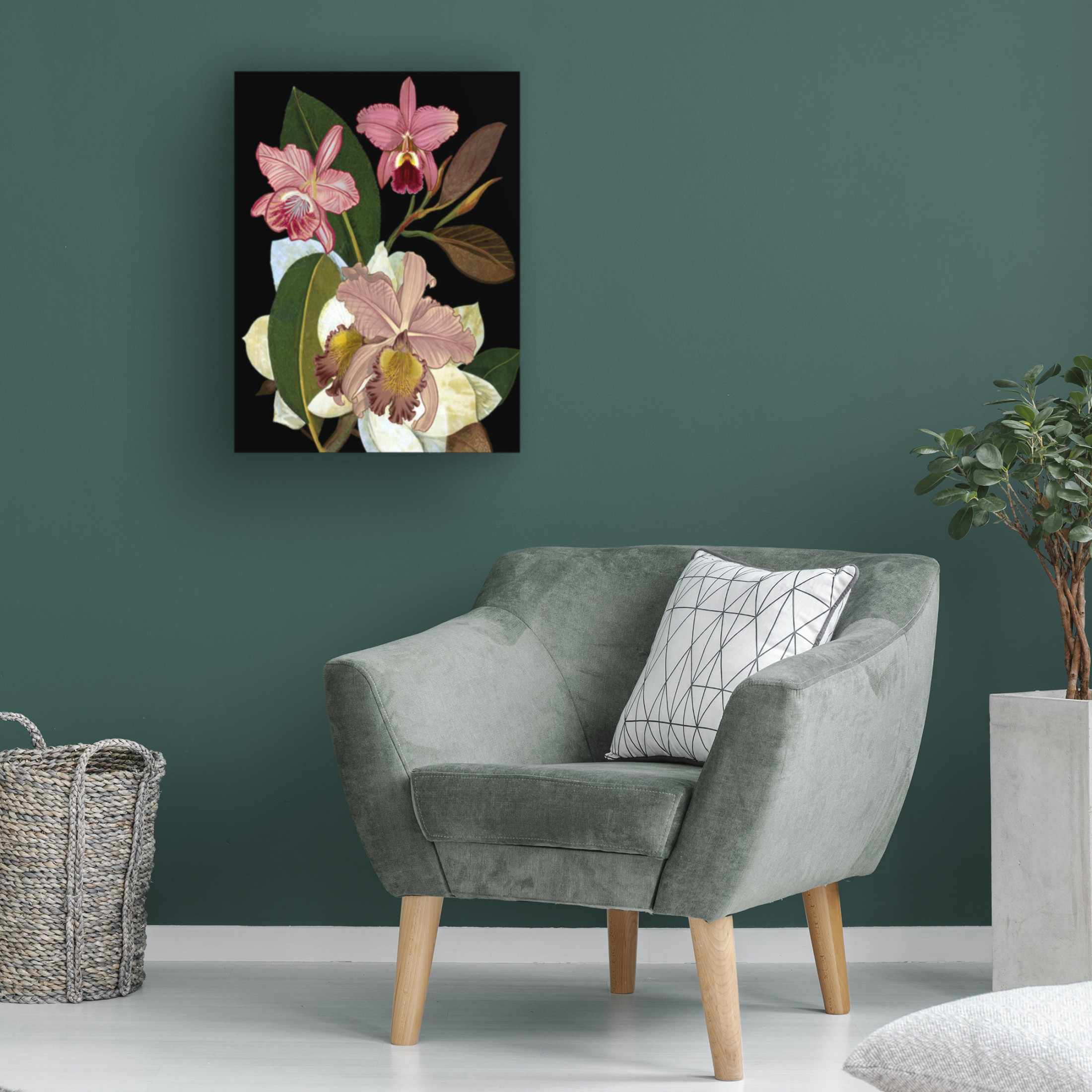 Trademark Fine Art giovanna nicolo  Orchids for Phyllis Botanical Canvas Wall Art